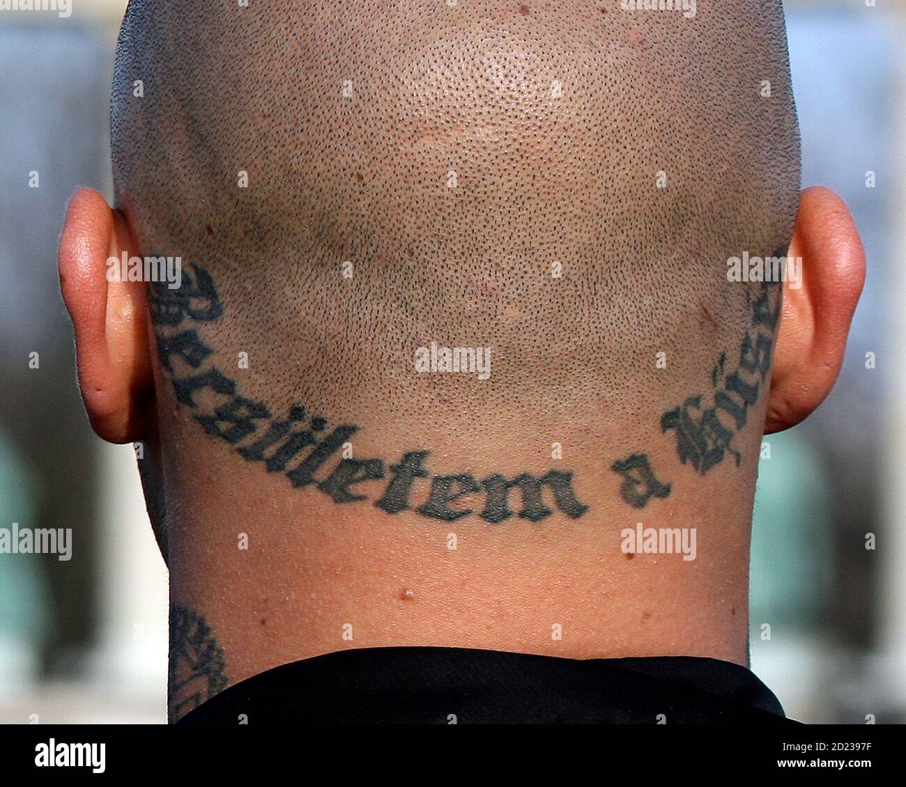 Meine ehre heißt treue tattoo
