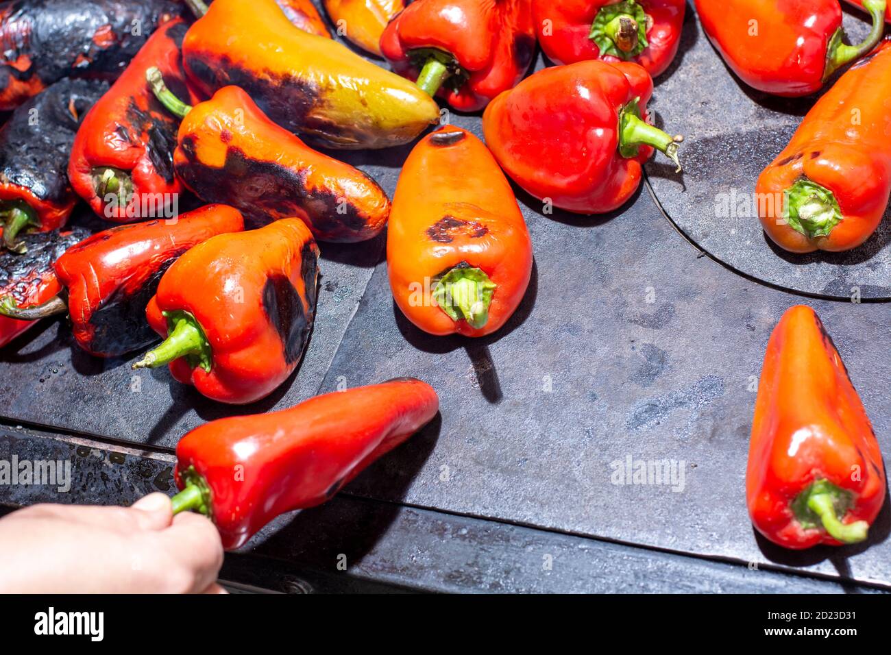 Rote Paprika rösten auf einem Holzofen in Vorbereitung für die Herstellung ajvar, ein traditionelles serbisches Gericht Stockfoto