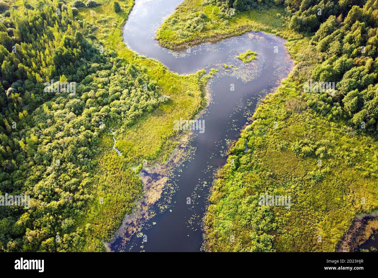 Luftaufnahme des Flusses, grünes Sumpfgras, Sommerlandschaft. Gewundener Fluss mit überwucherten Ufern, Blick von oben. Europäischer Natur Stockfoto