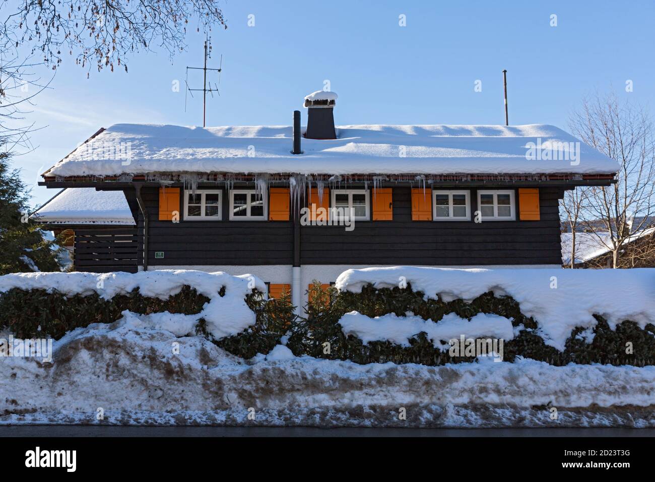 Oberstdorf, Straße, Hecke, Wohnhaus, Schneebedeck, Fuggerstrasse Stockfoto