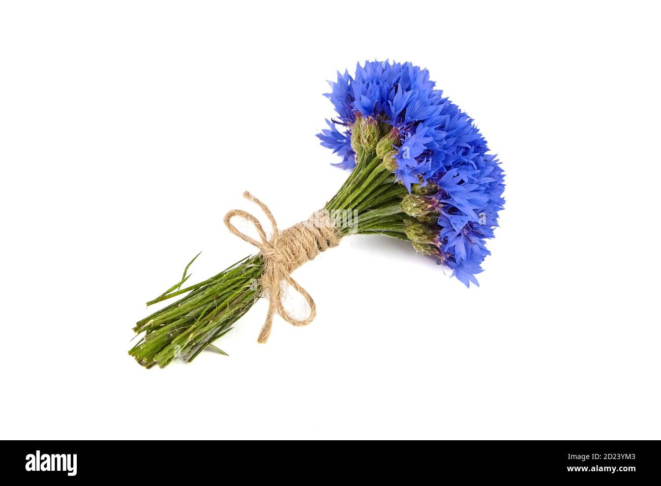 Blau frischen Kornblumen Bouquet isoliert auf weißem Hintergrund Stockfoto