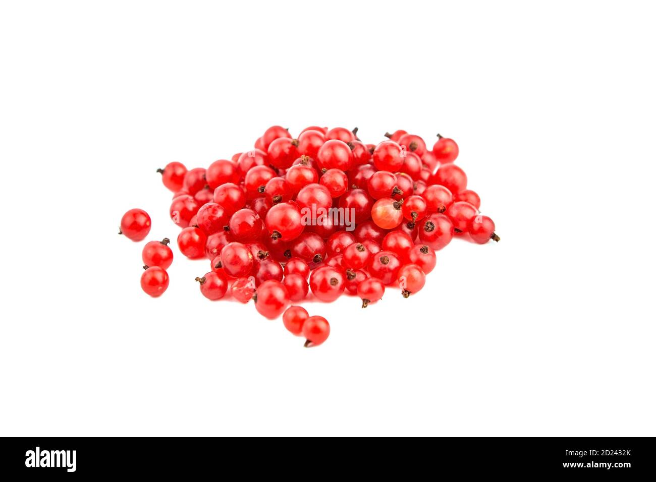 Reife frische rote Johannisbeeren isoliert auf weißem Hintergrund, Sommer Saison Beeren Stockfoto
