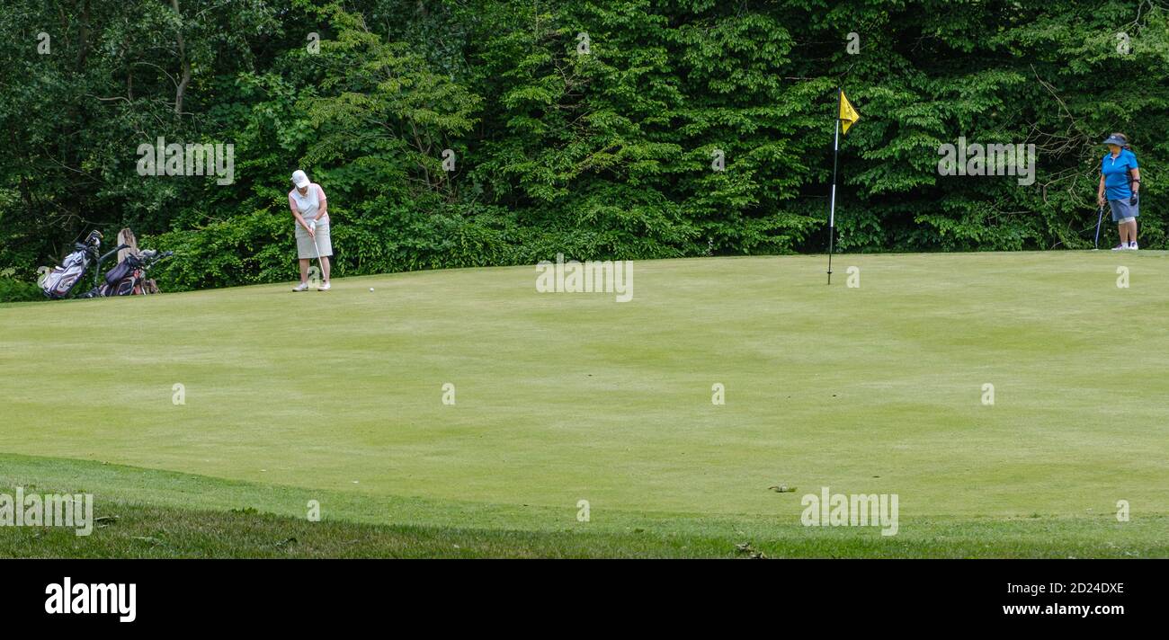Golfspielerin auf Grün trifft Ball in Richtung Loch im Pinner Hill Golf Club. Golfwagen auf der linken Seite, Tee und andere Golfer in blau auf der rechten Seite. Nordwest-London Stockfoto