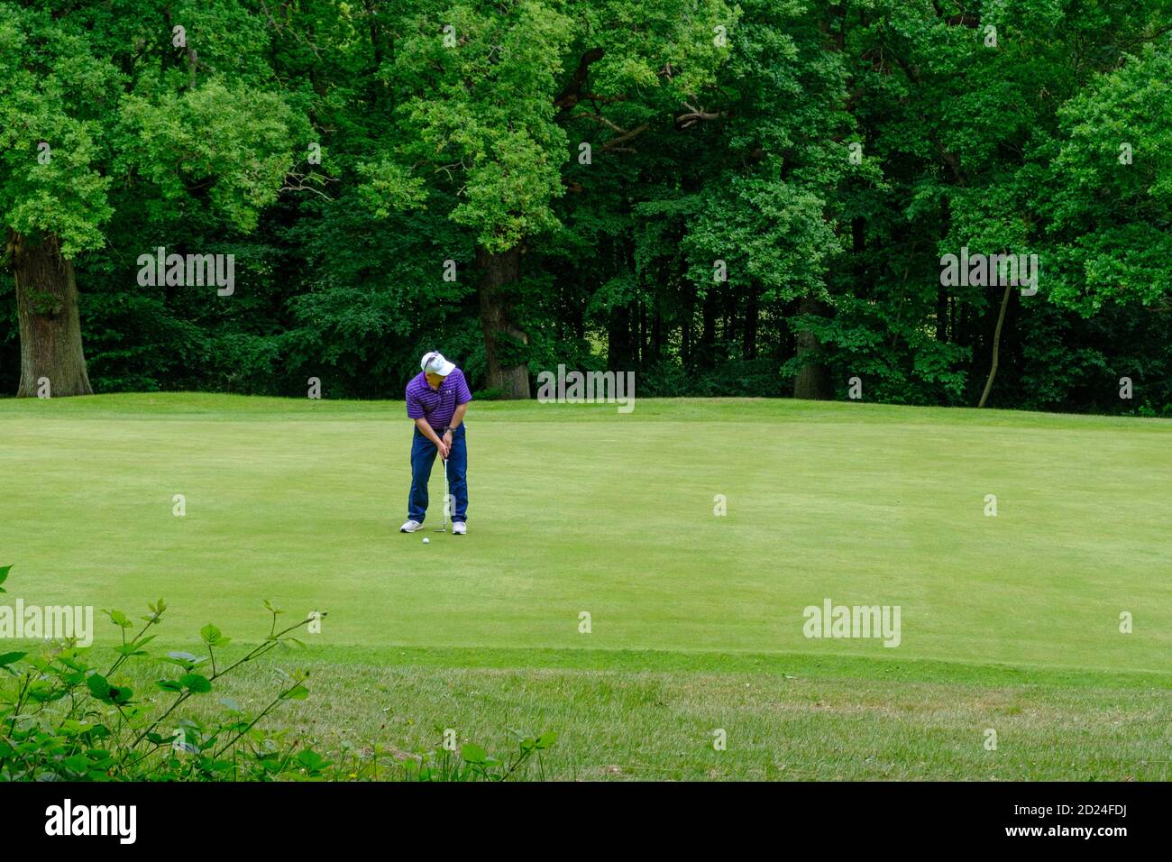 Männliche Golfer immer bereit, seinen Ball in das Loch auf dem Grün am Pinner Hill Golf Club, Pinner, Middlesex schlagen. Stockfoto