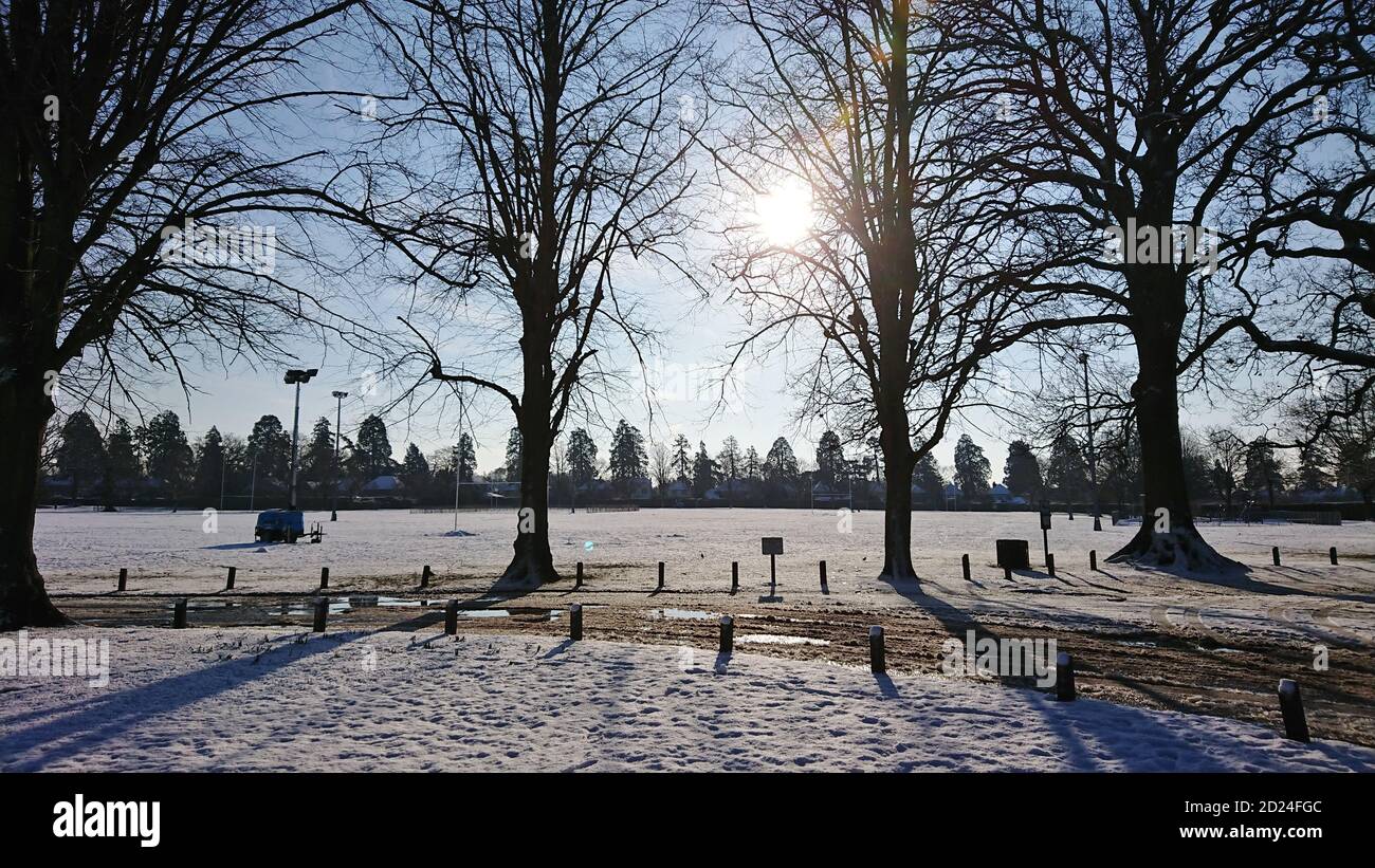 Die Wintersonne scheint durch die Bäume auf einem verschneiten Morgen in Surrey Stockfoto