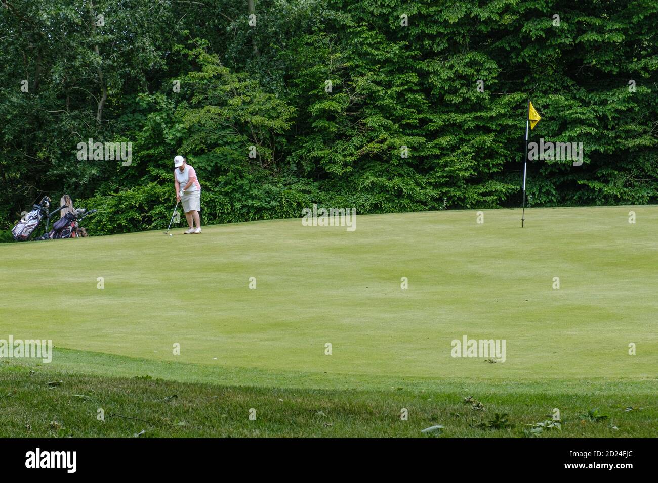 Golfspielerin auf dem Grün bereitet sich darauf vor, den Ball ins Loch im Pinner Hill Golf Club, North West London, zu schlagen. Golfwagen links, Abschlag mit Flagge rechts. Stockfoto