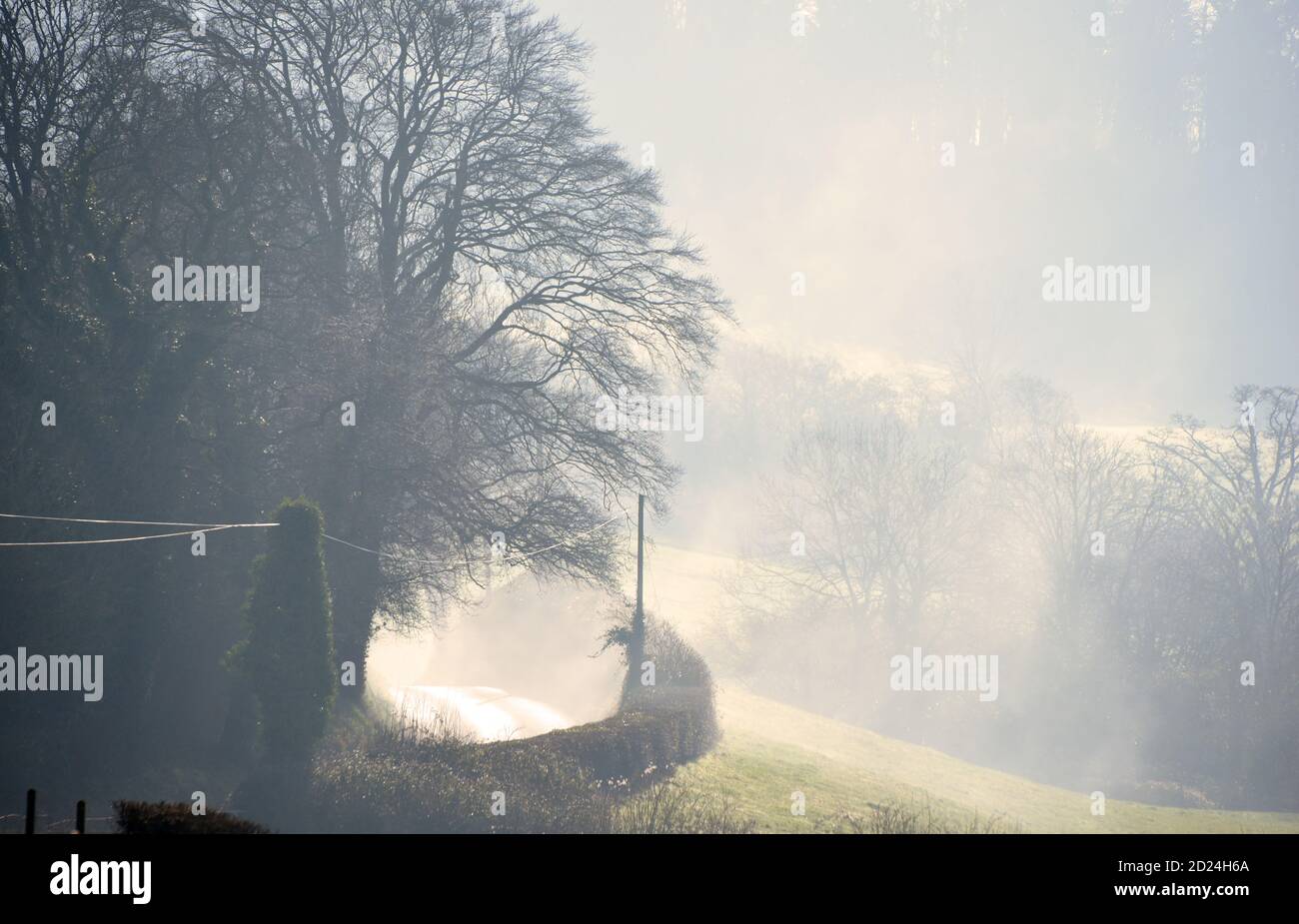 An einem nebligen Morgen in Dorset scheint Sonnenlicht durch Rauch Stockfoto
