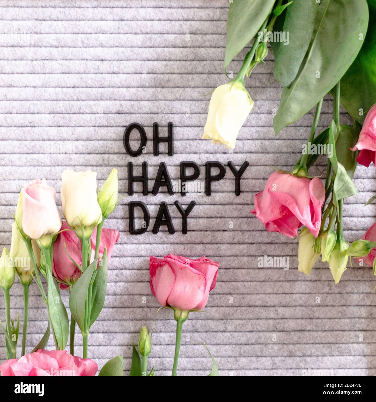 Zitat Oh Happy day. Komposition mit Filzbrief .Board und eustoma Blumen Stockfoto