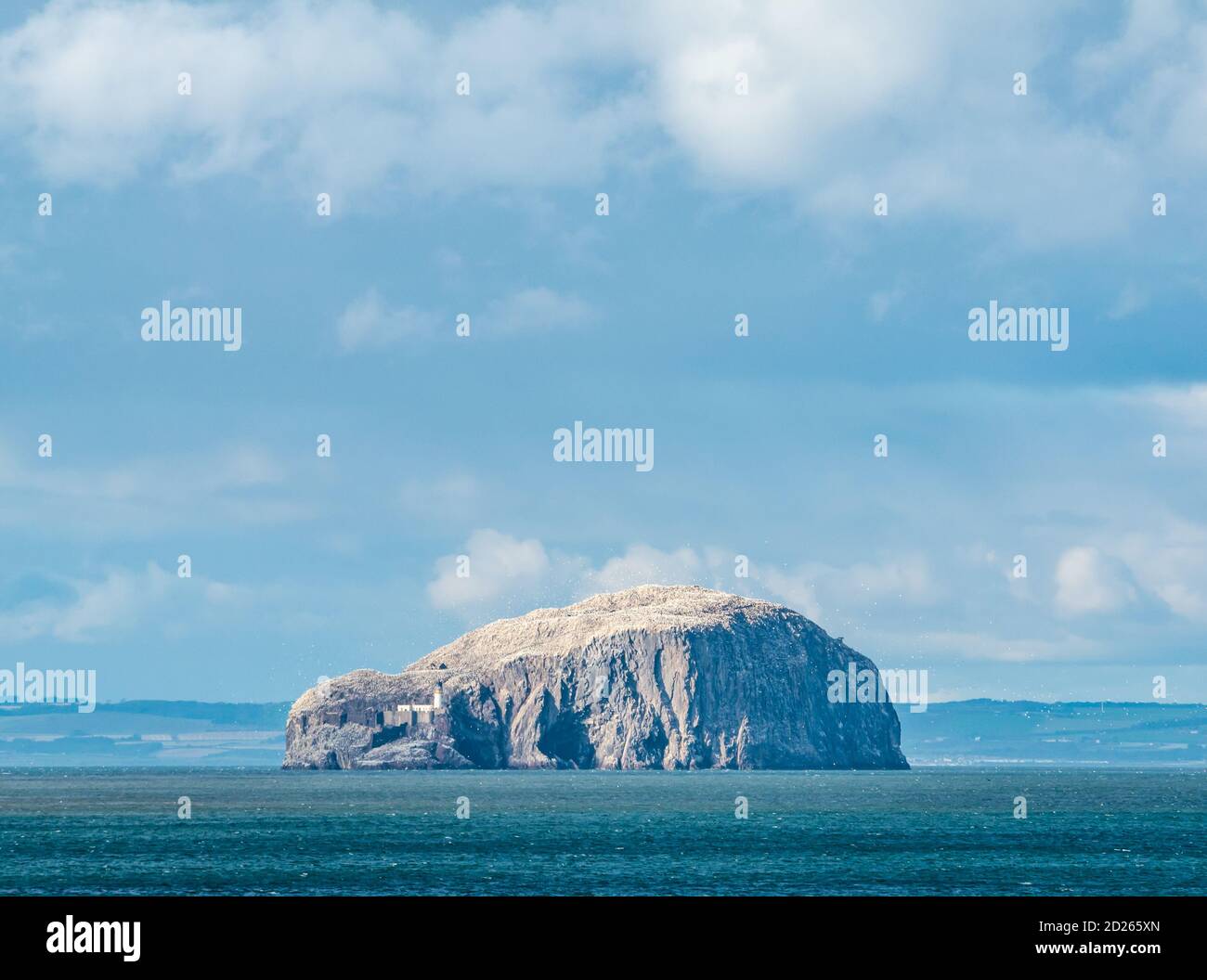 East Lothian, Schottland, Großbritannien, 6. Oktober 2020. UK Wetter: Herbstwetter am Ravensheugh Sands mit Blick auf die Bass Rock Gannet Kolonie strahlend weiß im Sonnenschein an einem luftigen Tag. Die Tölpel sollen bald nach ihrer Brutzeit abreisen Stockfoto