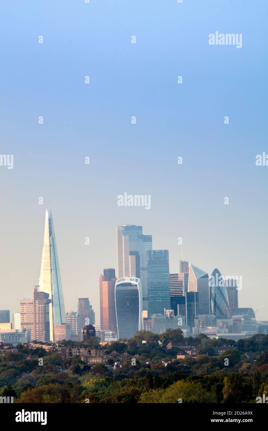 Die Skyline von Central London im Sommer, gesehen über Parkland und Wald Stockfoto