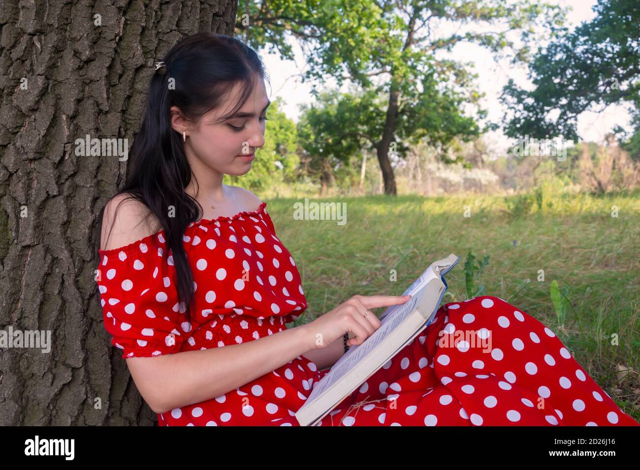 Eine schöne junge Brünette sitzt auf dem Gras in der Nähe eines großen Baumes und liest ein Buch. Sommerstimmung, Freizeit, Wochenende. Seitenansicht, Nahaufnahme. Stockfoto