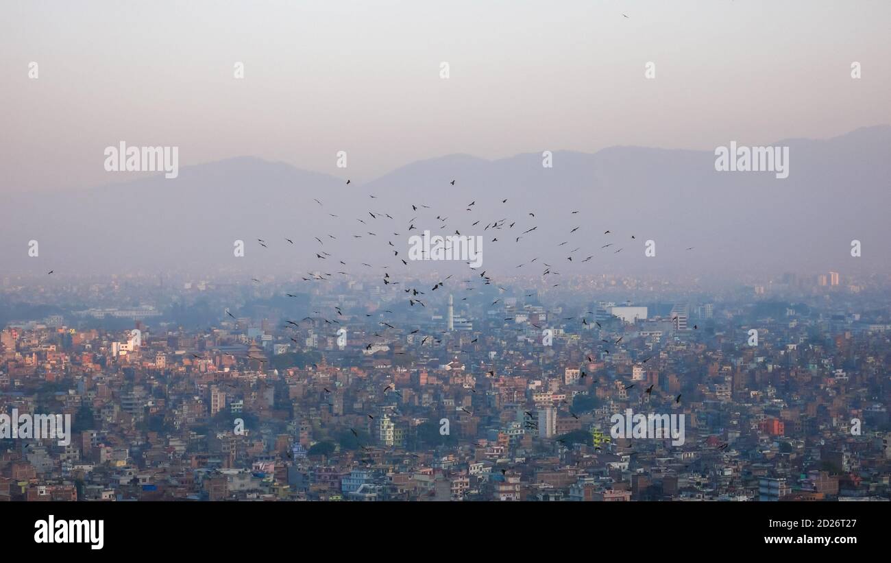 Kathmandu im Abendlicht mit kreisenden Vögeln Stockfoto