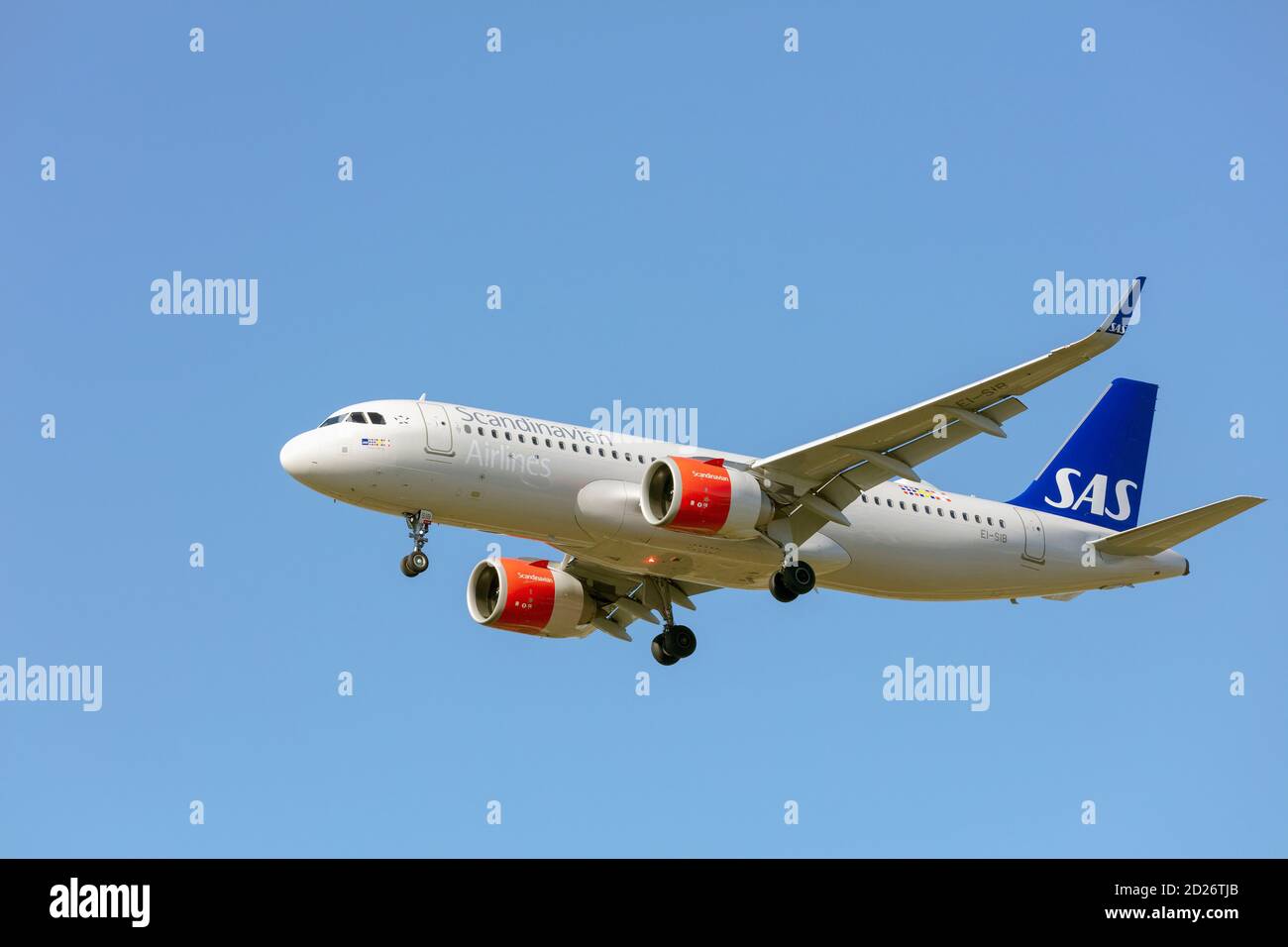 SAS Scandinavian Airlines Airbus A320-251N mit Fahrwerk nach unten. Stockfoto