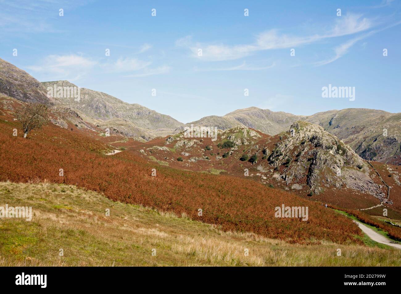 Ein Blick auf die Glocke und unter Beck Fells die Alter Mann von Coniston aus der Nähe von Torver High Common Coniston Lake District National Park Cumbria England Stockfoto
