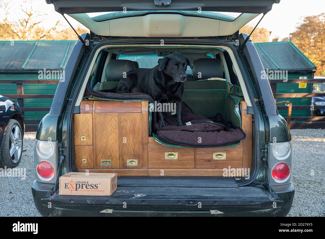 Range Rover Kofferraum für Waffenhunde, Pistolen und Erfrischungen Stockfoto