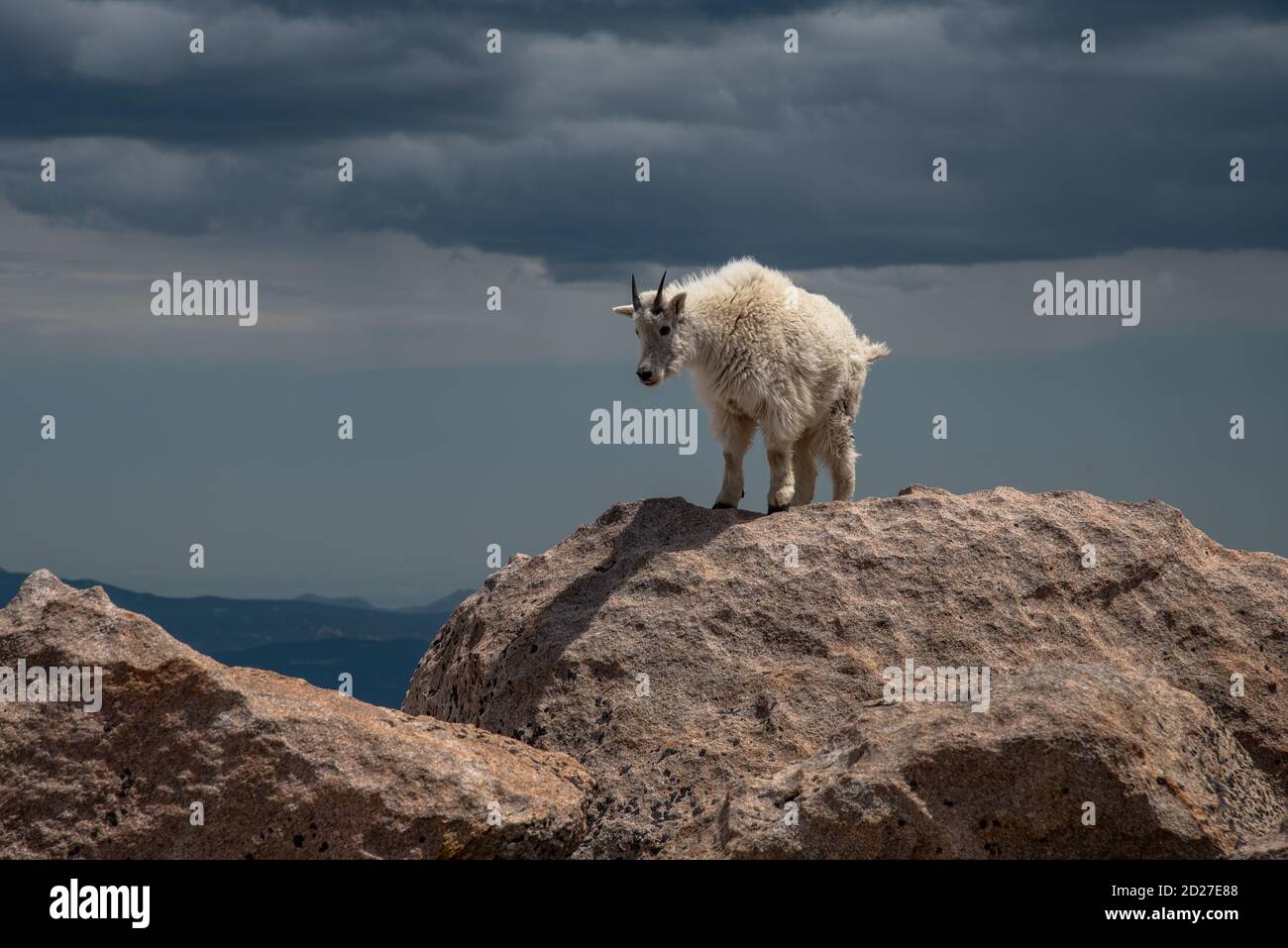 Mt. Ziege Stockfoto