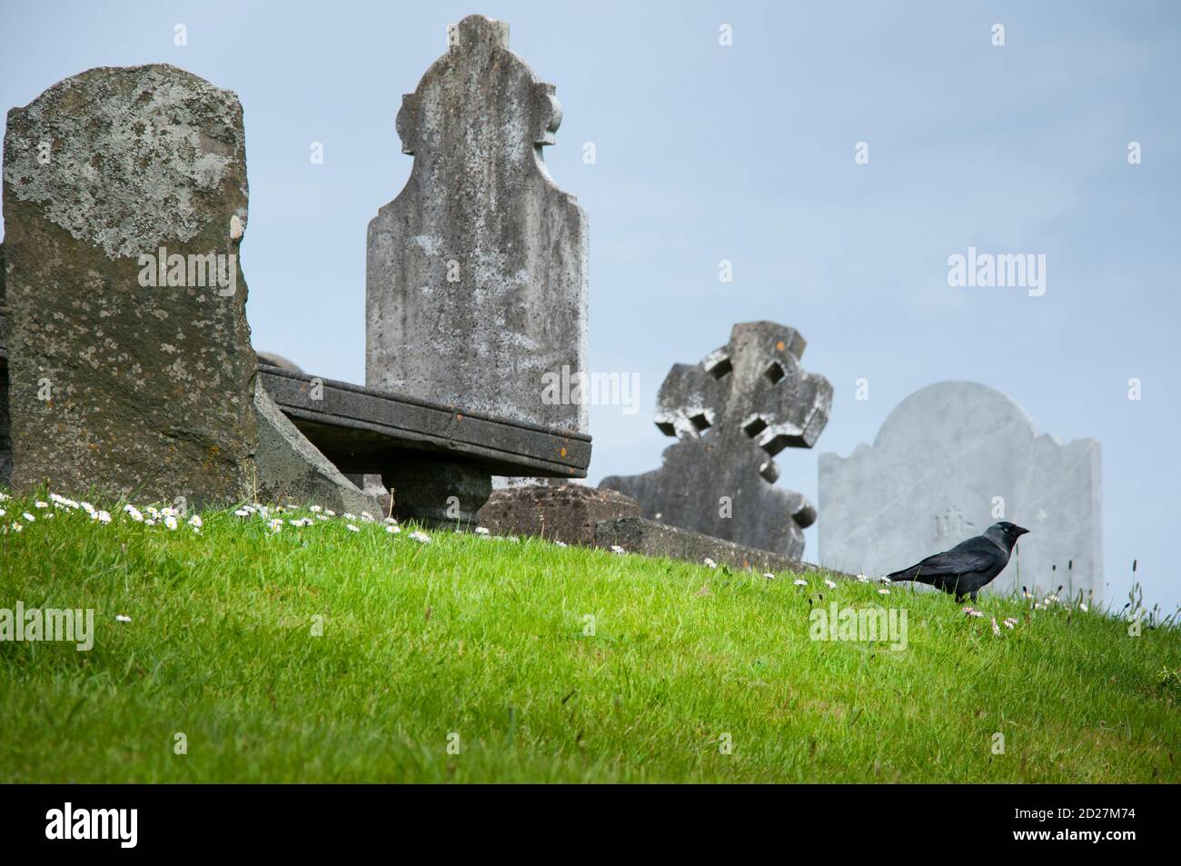 Friedhof: Reisen durch den Süden Irlands. Stockfoto