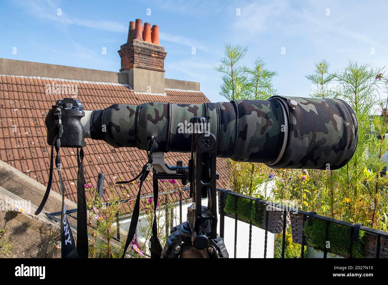 Kameraausrüstung von Sony. Stockfoto