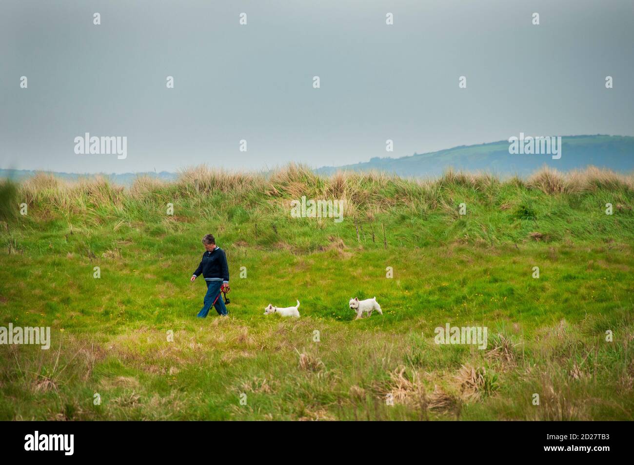 Irisches Leben: Reisen durch den Süden Irlands Stockfoto
