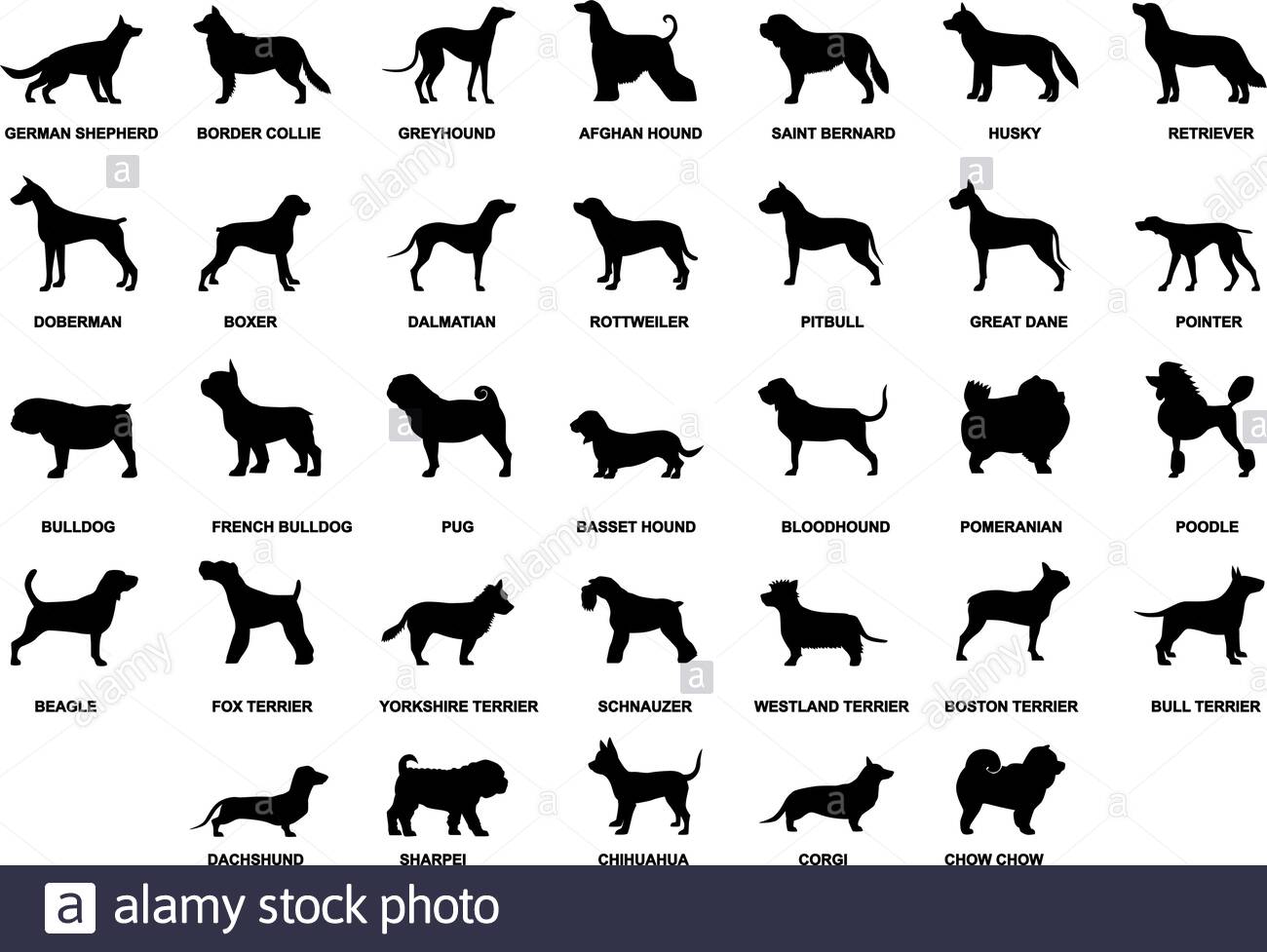 Silhouetten Von Mops Stockfotos Und Bilder Kaufen Alamy