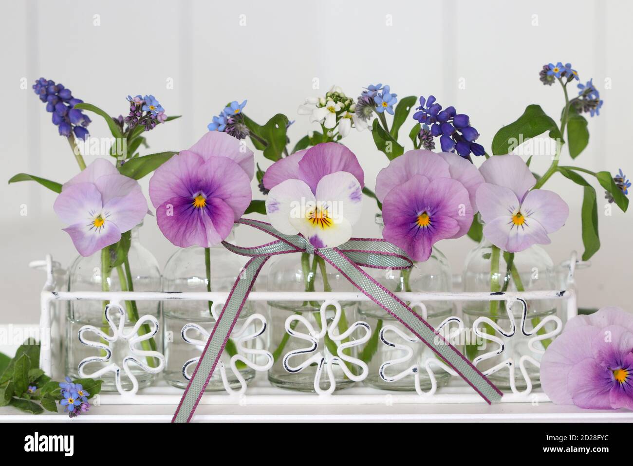 Lila Viola Blumen und vergessen Sie mich nicht Blumen im Glas Flaschen als Frühlingsdekoration Stockfoto