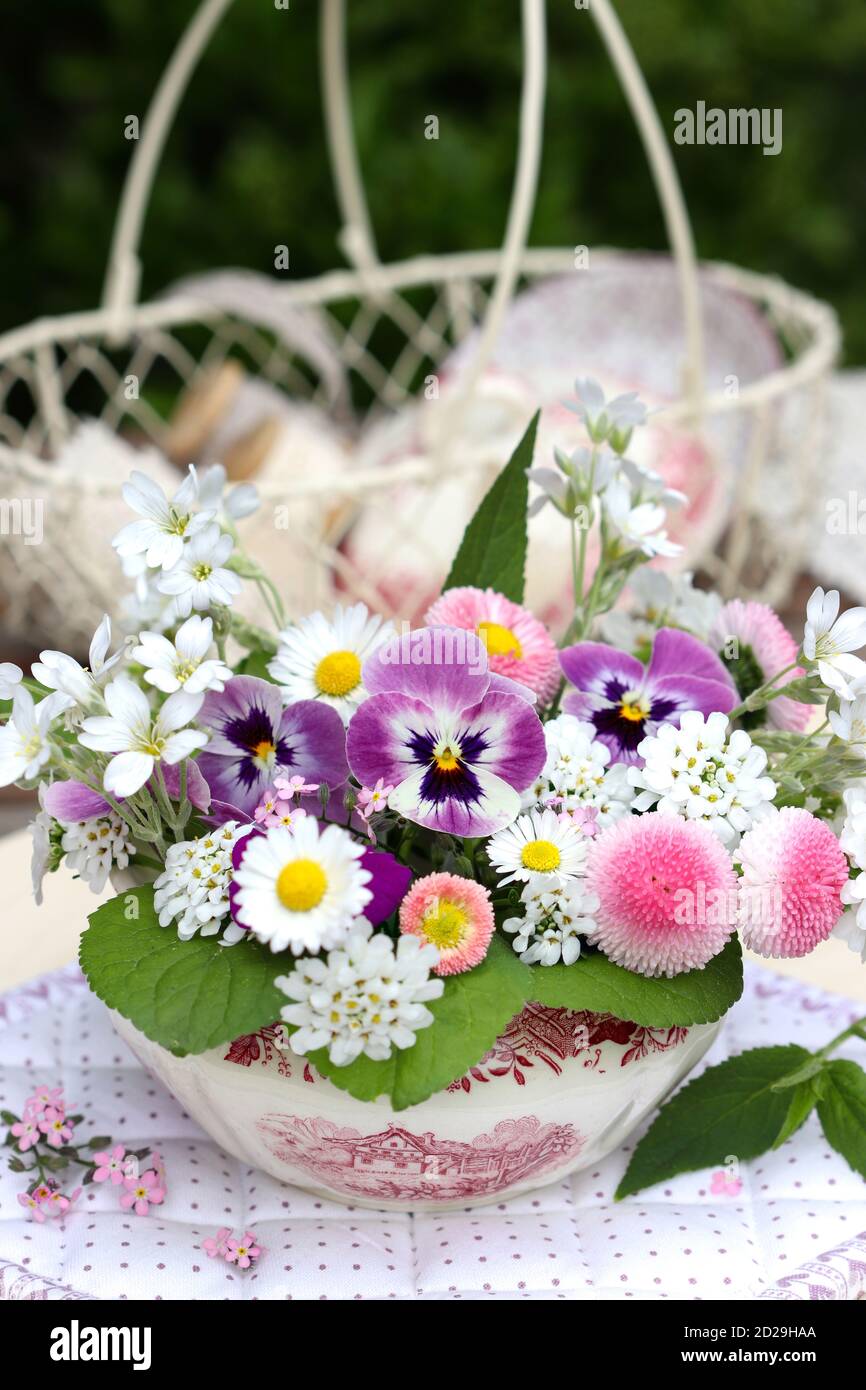 Romantisches Bouquet von Frühlingsblumen in Pastellfarben im Vintage Zuckerdose Stockfoto