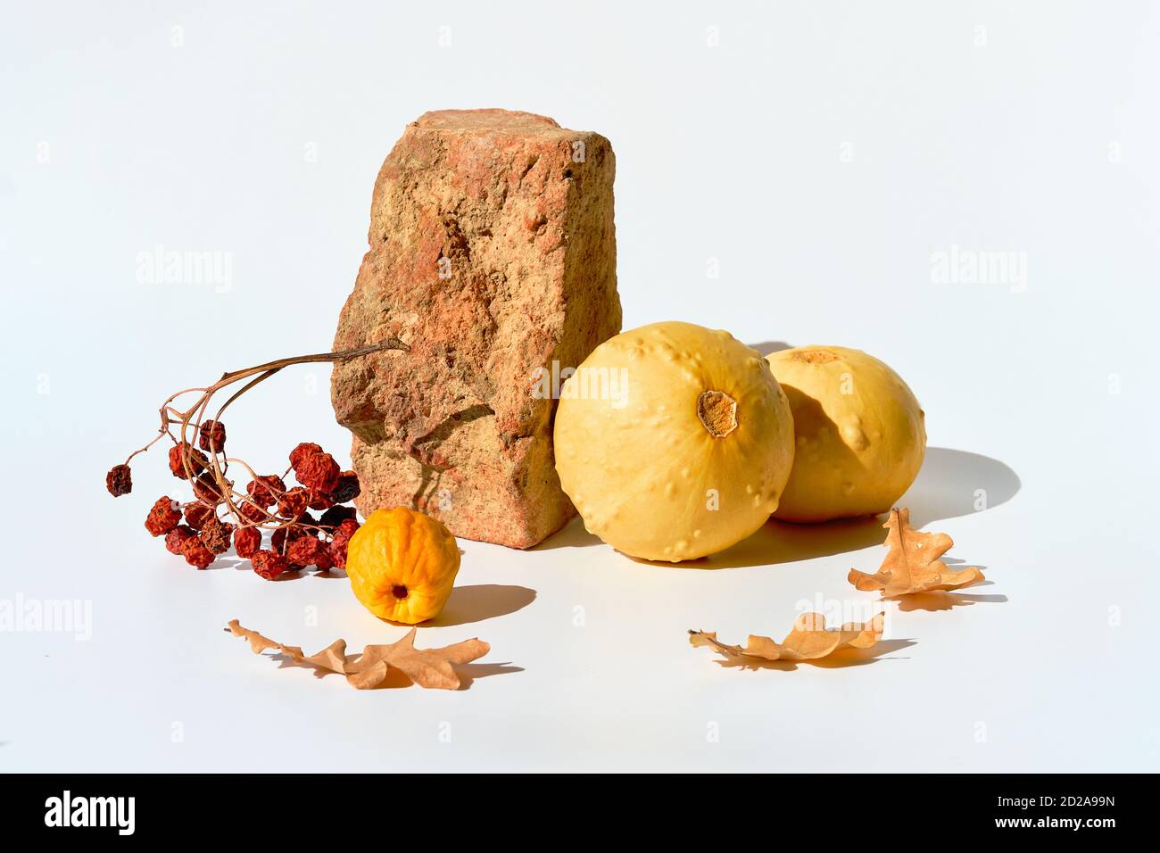 Moderne Herbstgestaltung mit harten Schatten. Kürbisse, Quitte und Ziegelpodium auf weiß. Stockfoto