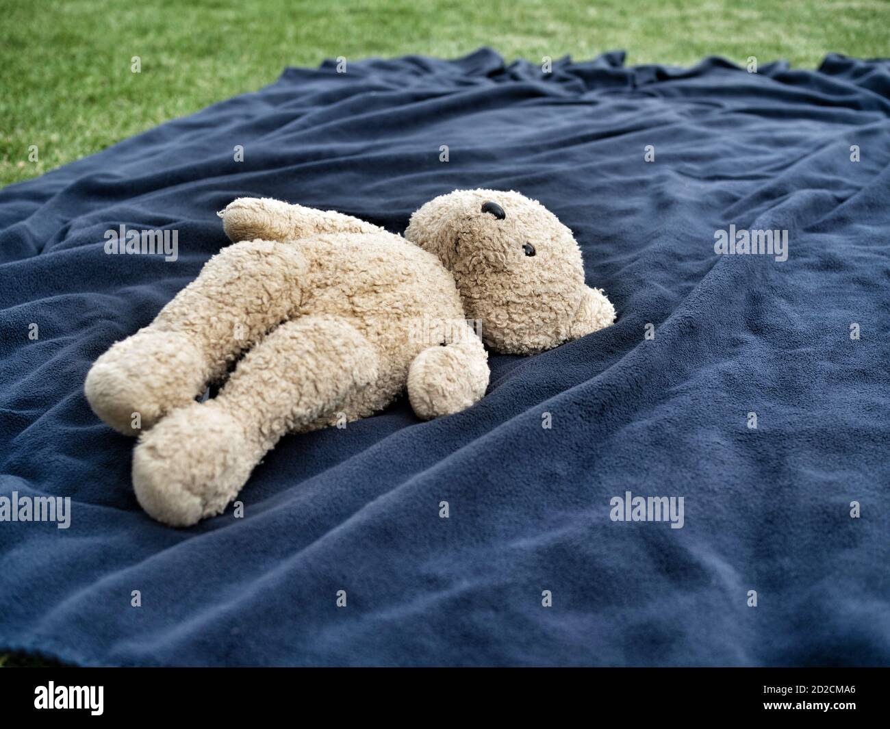 Teddybär liegt auf blauer Decke im Garten. Speicherplatz kopieren. Stockfoto