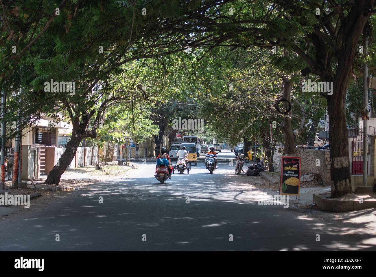 Chennai, Indien - 8. Februar 2020: Täglicher Verkehr auf einer asphaltierten Straße unter überhängenden Bäumen am 8. Februar 2020 in Chennai, Indien Stockfoto