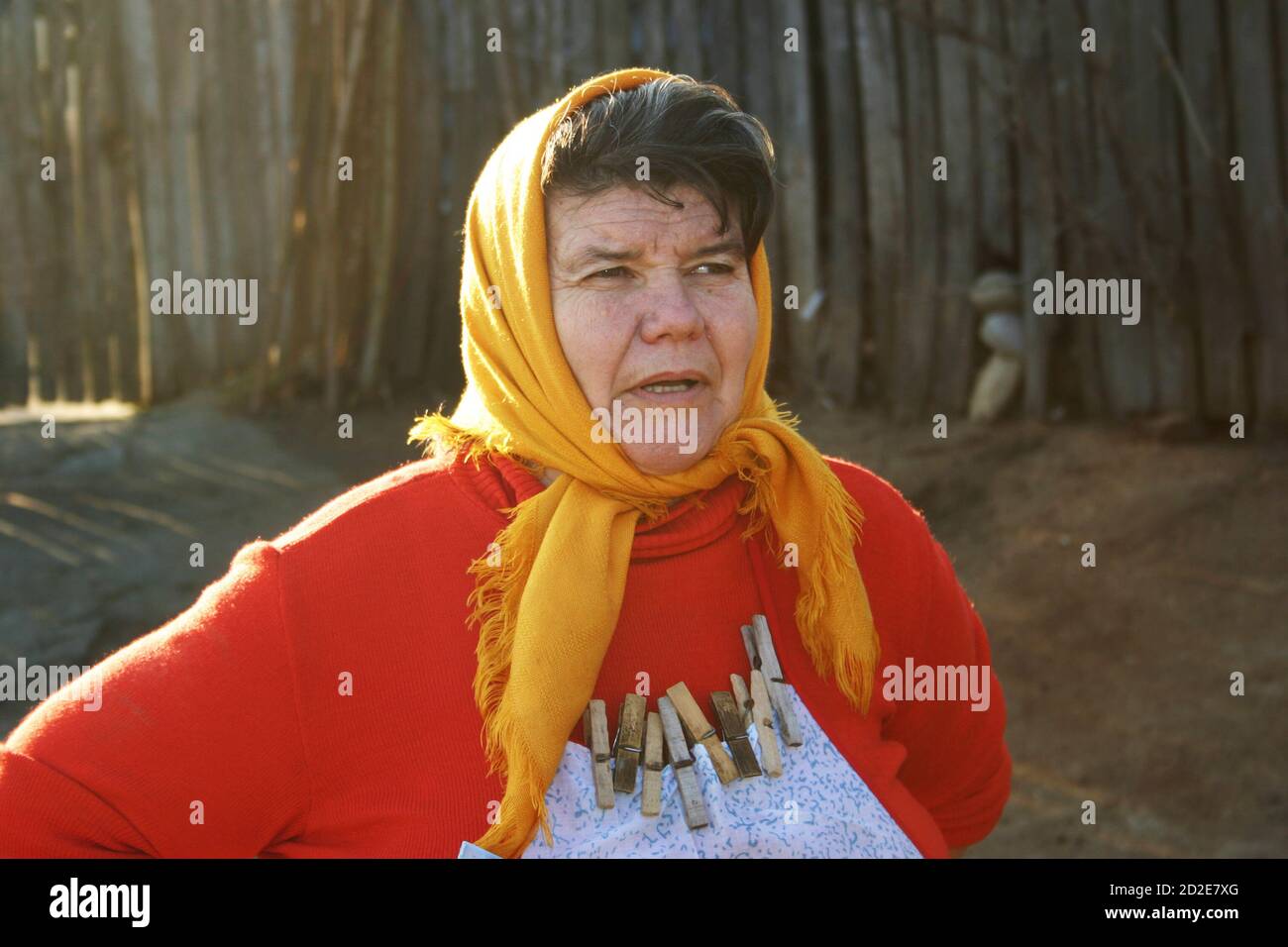 Ialomita County, Rumänien. Porträt einer älteren Frau in ihrem Hof, mit Wäscheklammern an ihrer Schürze befestigt. Stockfoto