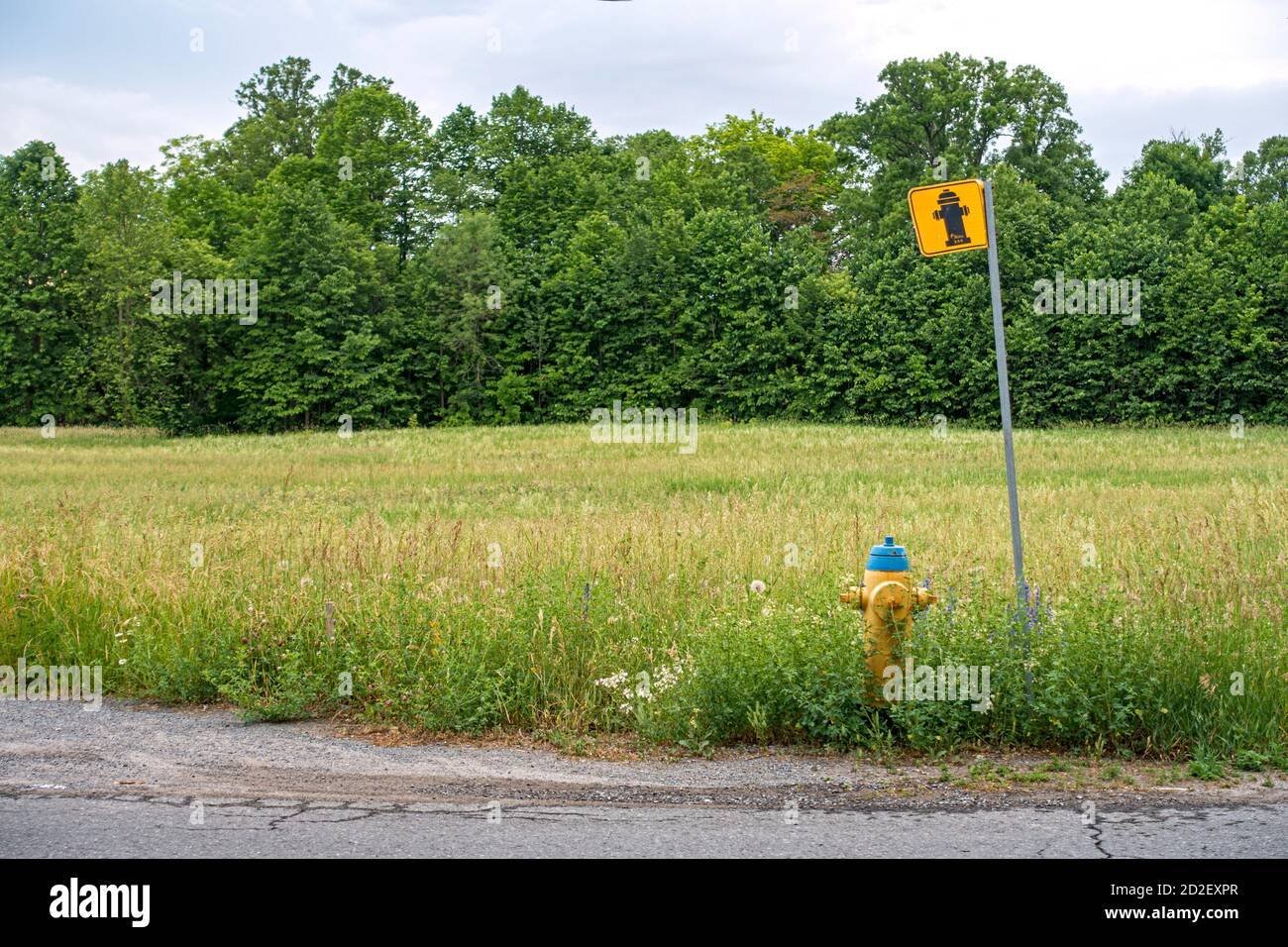 Hydrant und Schild Stockfoto