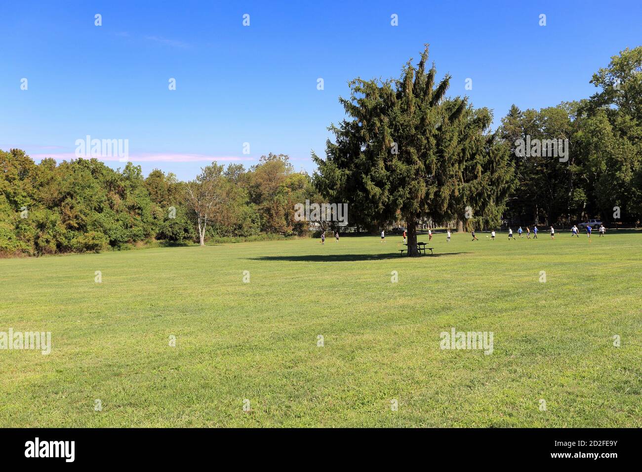 Fußballspiel Setauket Long Island New York Stockfoto