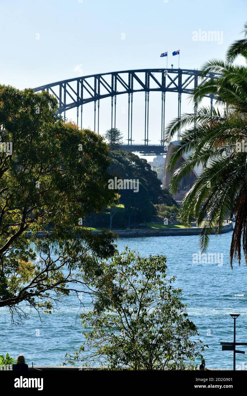 Ein Blick auf die Sydney Harbour Bridge vom Royal Botanischer Garten Stockfoto