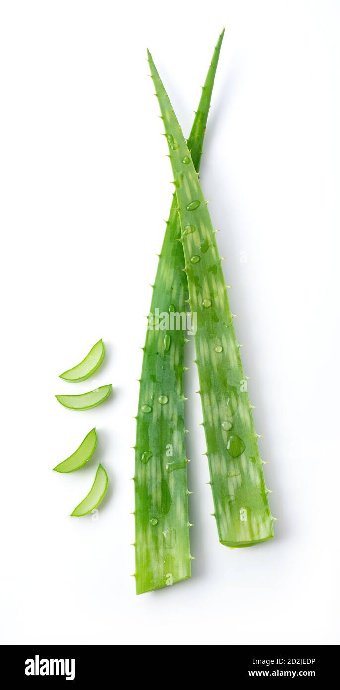 Schneiden Sie Aloe Vera auf einem weißen Hintergrund platziert Stockfoto