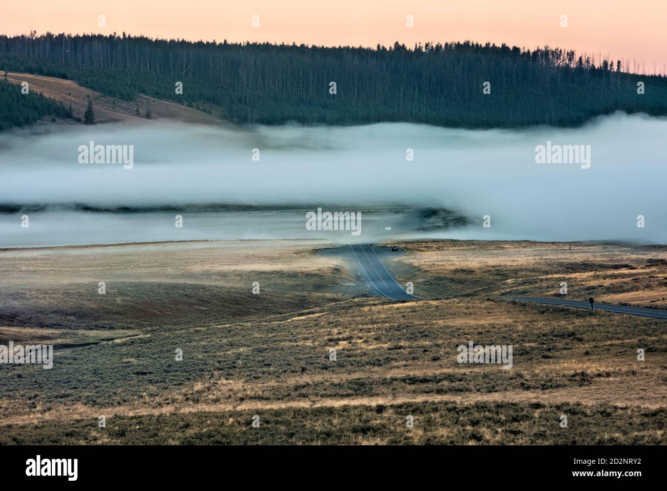 Nebel im Hayden Valley bei Sonnenaufgang, Yellowstone National Park, Wyoming, USA Stockfoto