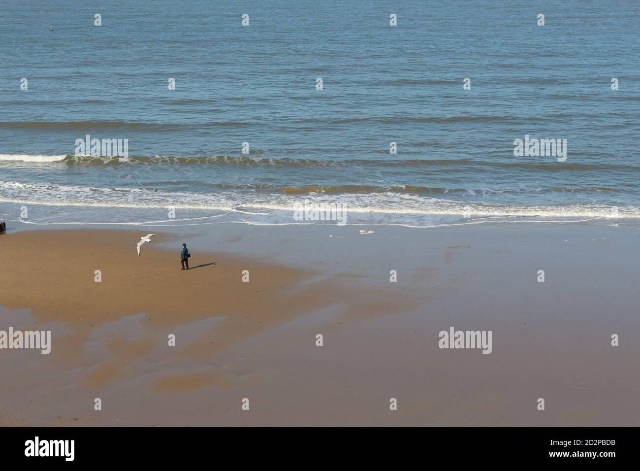 Cromer Sandstrand an einem sonnigen Tag mit ruhigem Meer an einem Nordseestrand in England, Norfolk, Großbritannien, Seestrand Stockfoto