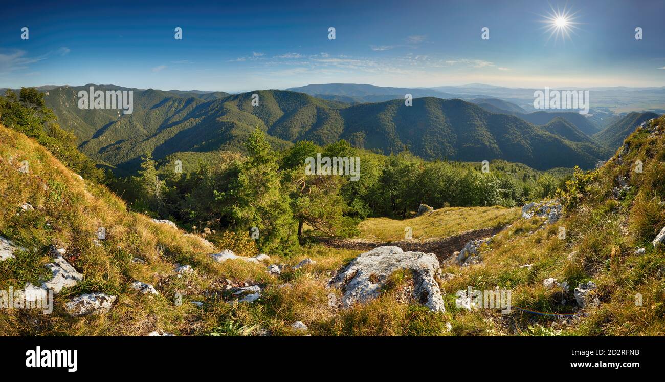 Schöne Landschaft mit Berg und Wald bei Sonnenaufgang, Slowakei Fatra Stockfoto