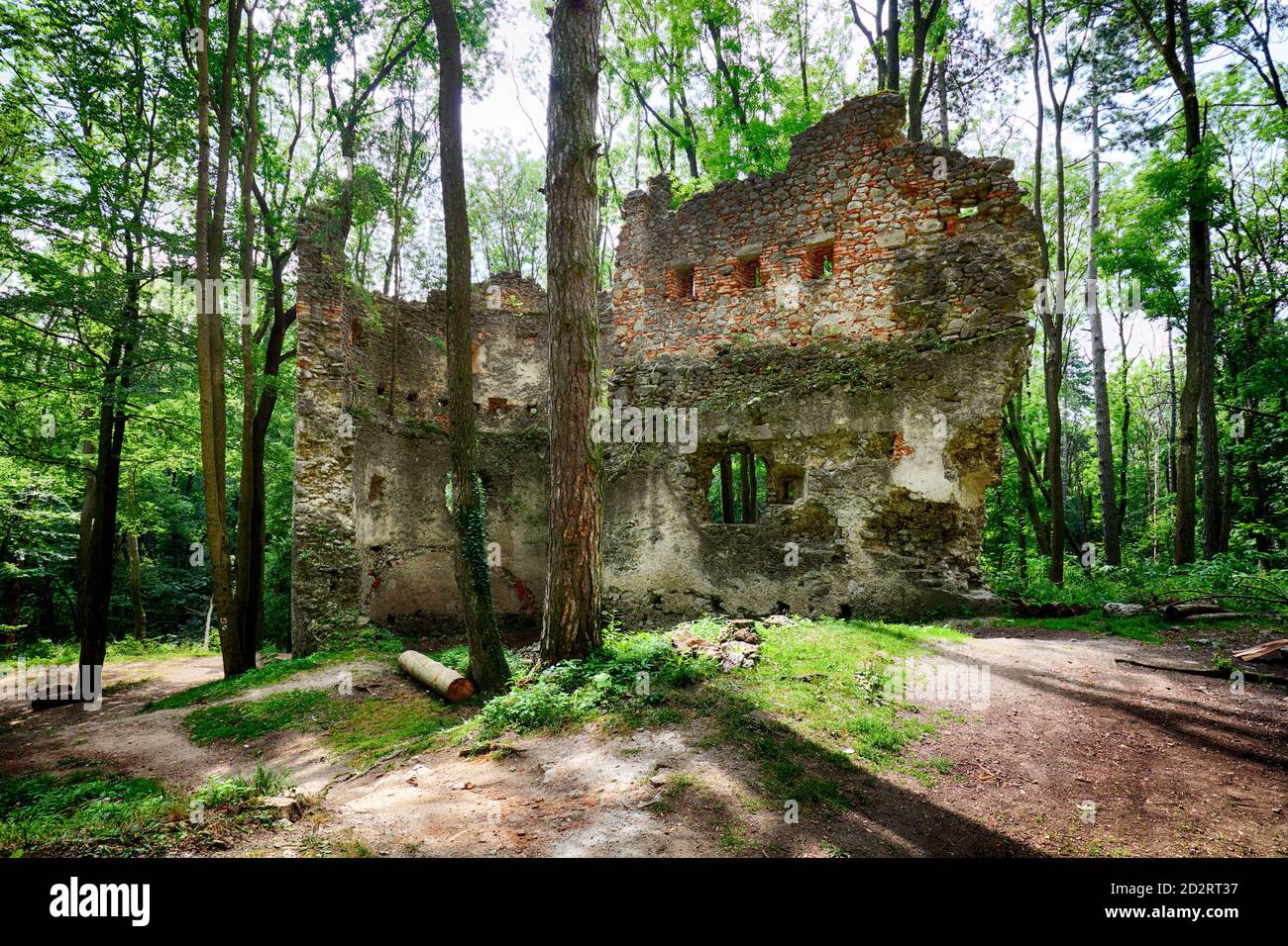 Slowakei - Ruinen der Burg Dobra Voda Stockfoto