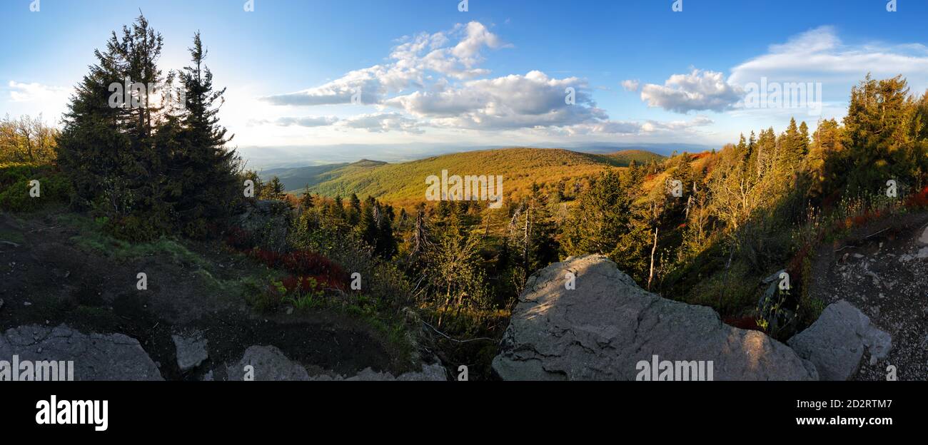 Slowakei Berg - Vtacnik Gipfel mit Wald Stockfoto