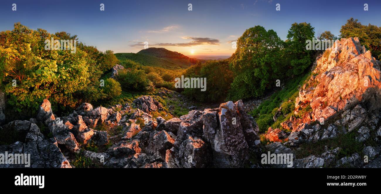 Wald Natur Landspitze mit Spitze und Sonne bei dramatischem Sonnenuntergang, Slowakei - Karpaten Stockfoto