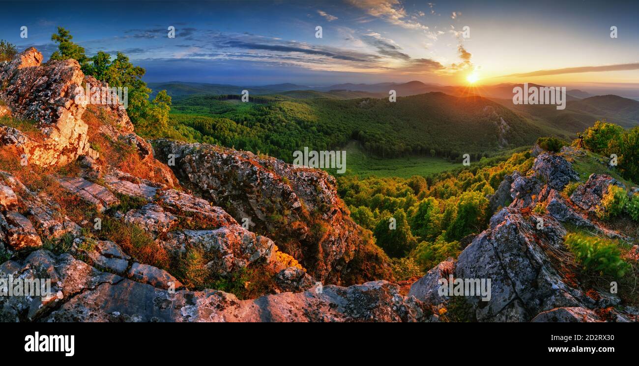 Wald und Berg bei Sonnenuntergang - Landschaftspanorama Stockfoto