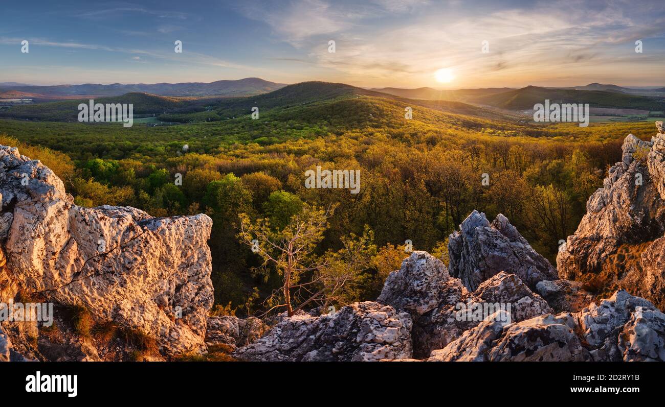 Panorama der Fels- und Waldlandschaft Stockfoto