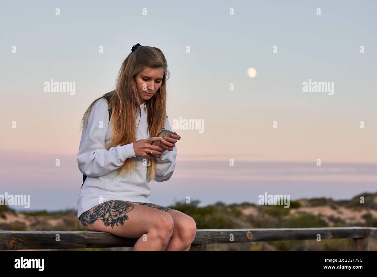 Ruhige weibliche Reisende sitzen auf Holzzaun an der Promenade und Messaging in sozialen Medien über Handy, während Sie sich bei Sonnenuntergang entspannen Im Sommer Stockfoto