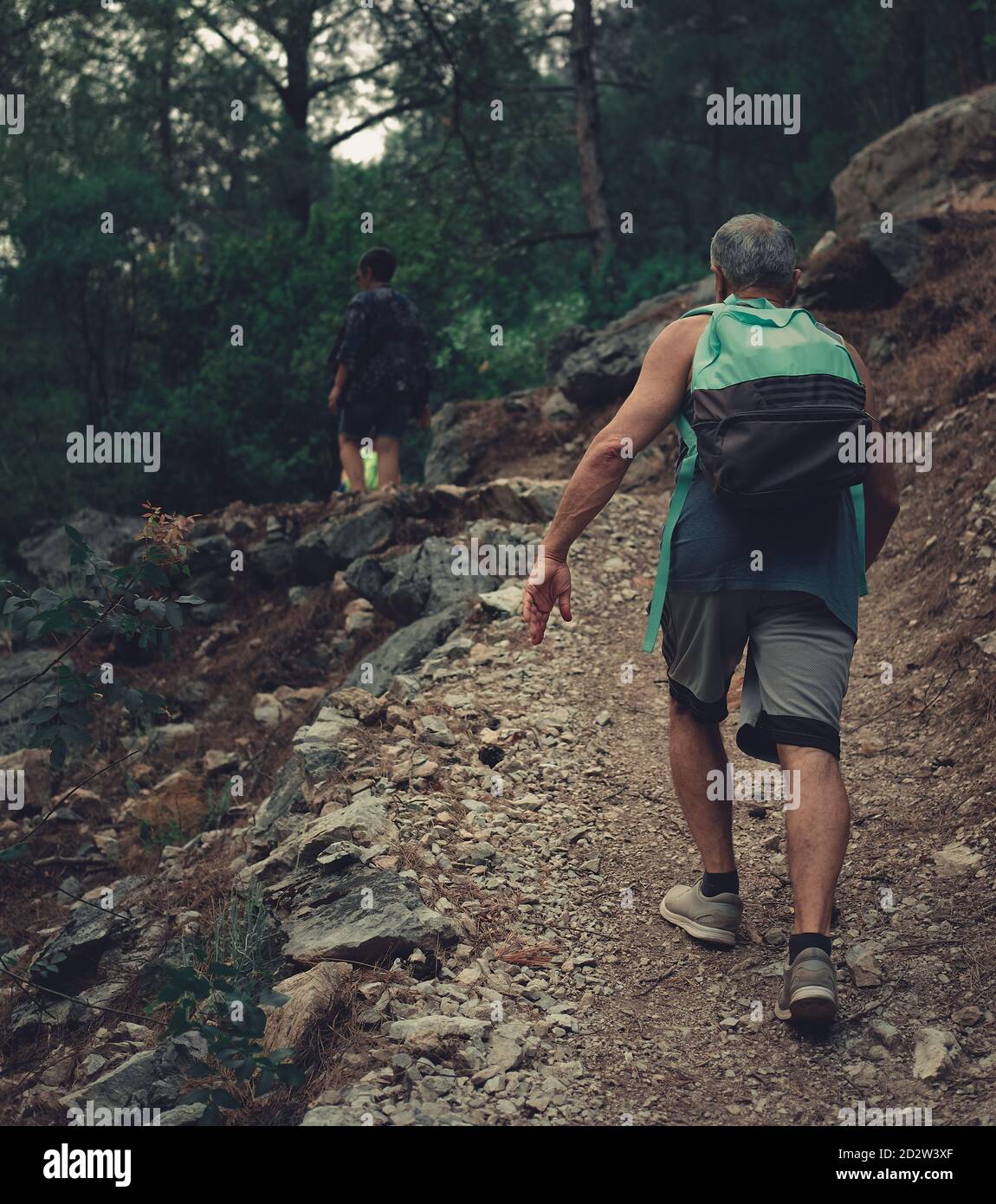 Älterer Mann, der den Weg im Wald hinauf klettert. Bild eines Wanderers von hinten in der Natur. Stockfoto