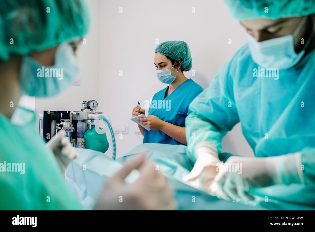 Assistentin in Uniform in der Nähe des Anästhesiesystems und der Überwachung Indikatoren während Tierärzte, die Tier auf dem Tisch im Operationssaal Stockfoto