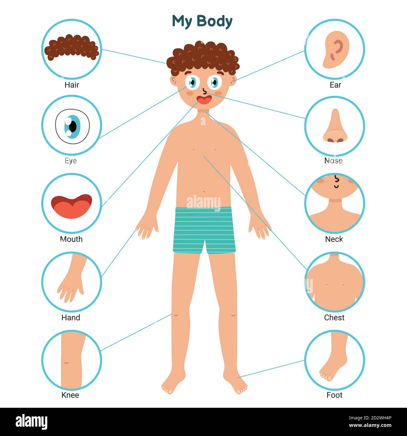 Körperteile pädagogische Plakate mit einem Jungen. Teile des Körpers lernen Stock Vektor