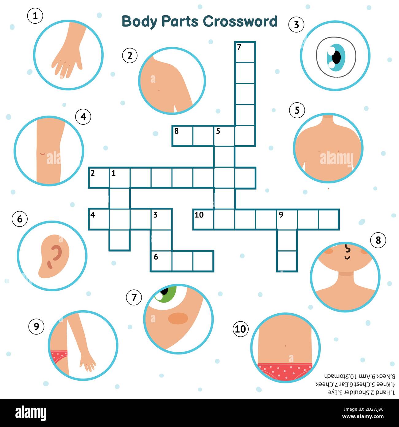 Körperteile Kreuzworträtsel mit Hand, Auge, Schulter, Knie, Brust, Ohr, Wange, Hals, Arm Stock Vektor