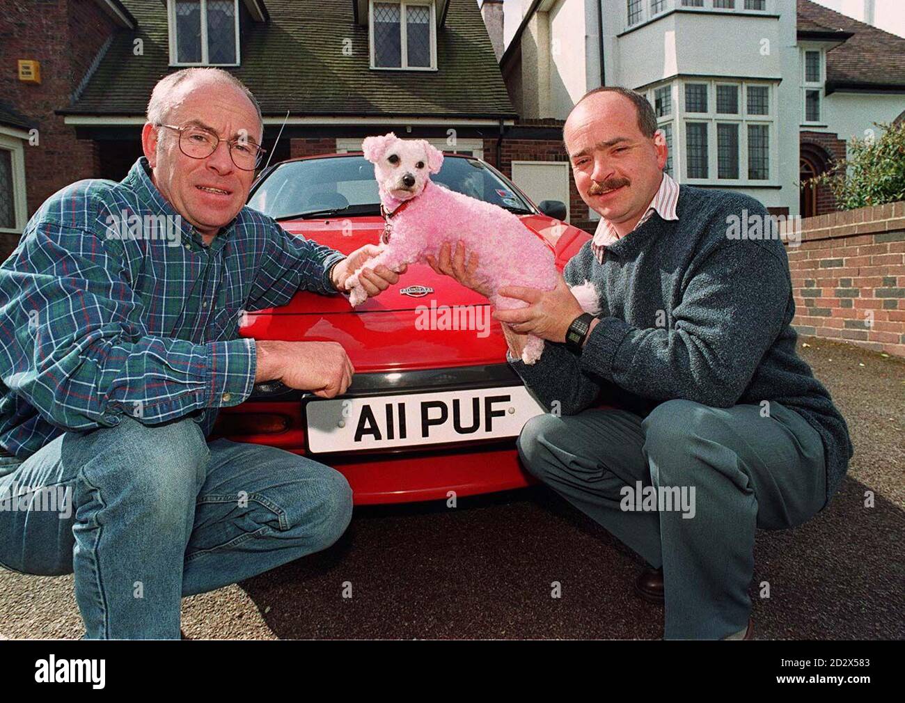 Tony Hubball (links) aus Moseley, Birmingham, und sein Bruder Steve halten Tonys Bichon Frise Hund 'Lucy' hoch, den Steve pink färbte, während sein Bruder in Hongkong Urlaub machte. Der Witz, basierend auf Tonys neuem Nummernschild, ging nach hinten los, als der rosa Farbstoff sich weigerte auszuwaschen und der Hund kurz geschnitten werden musste, um fernab bzw. Hund zu schauen. Stockfoto