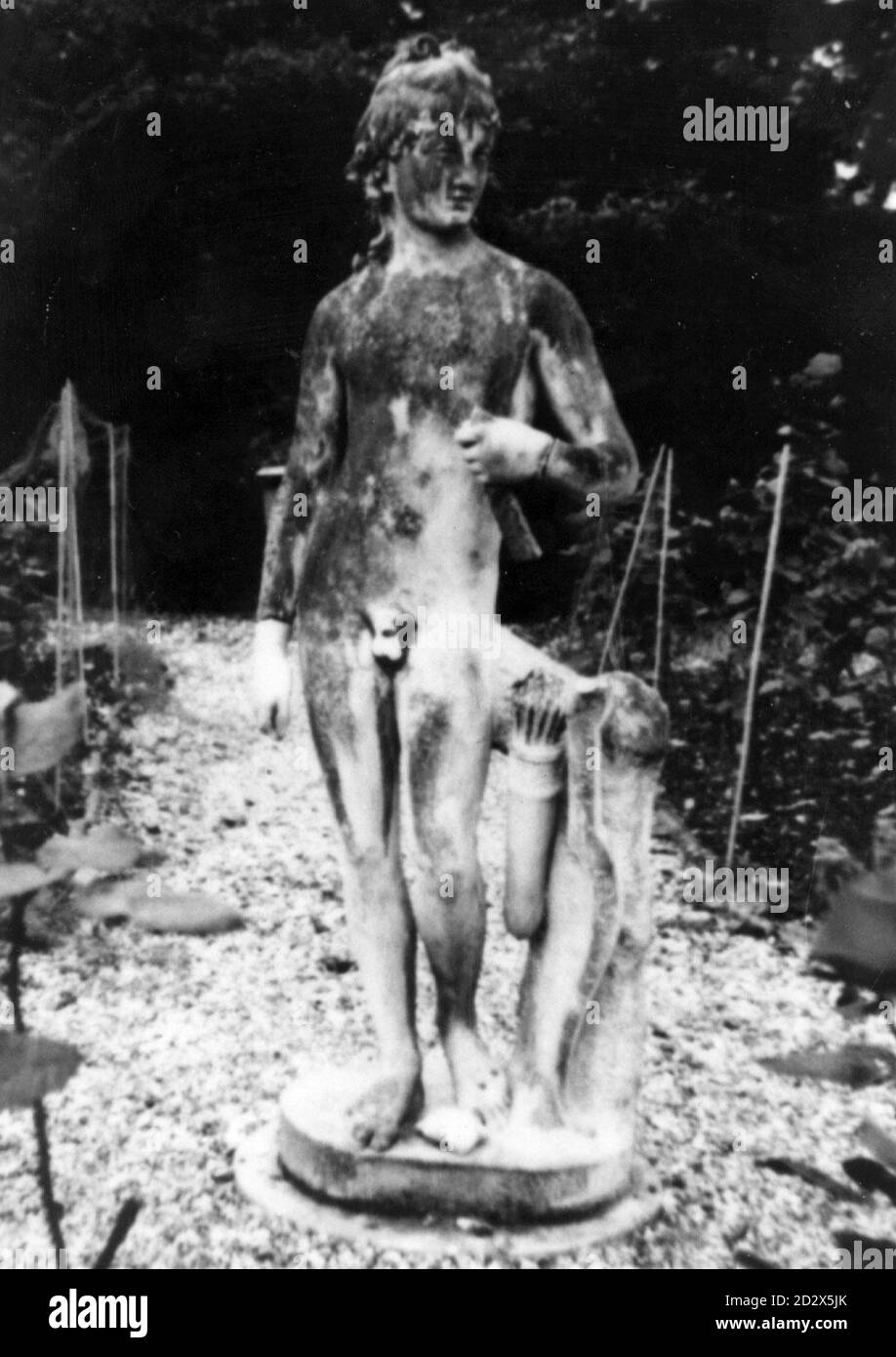 Ein 1992 Filer der italienischen Marmorstatue eines Amorino oder Amor gefunden in einem West Country Garten. Die Skulptur von Antonio Canova (1757-1822) wird am 4. Juli 1996 in Sotheby's, London, verkauft. PA. **NUR S/W VERFÜGBAR** Stockfoto