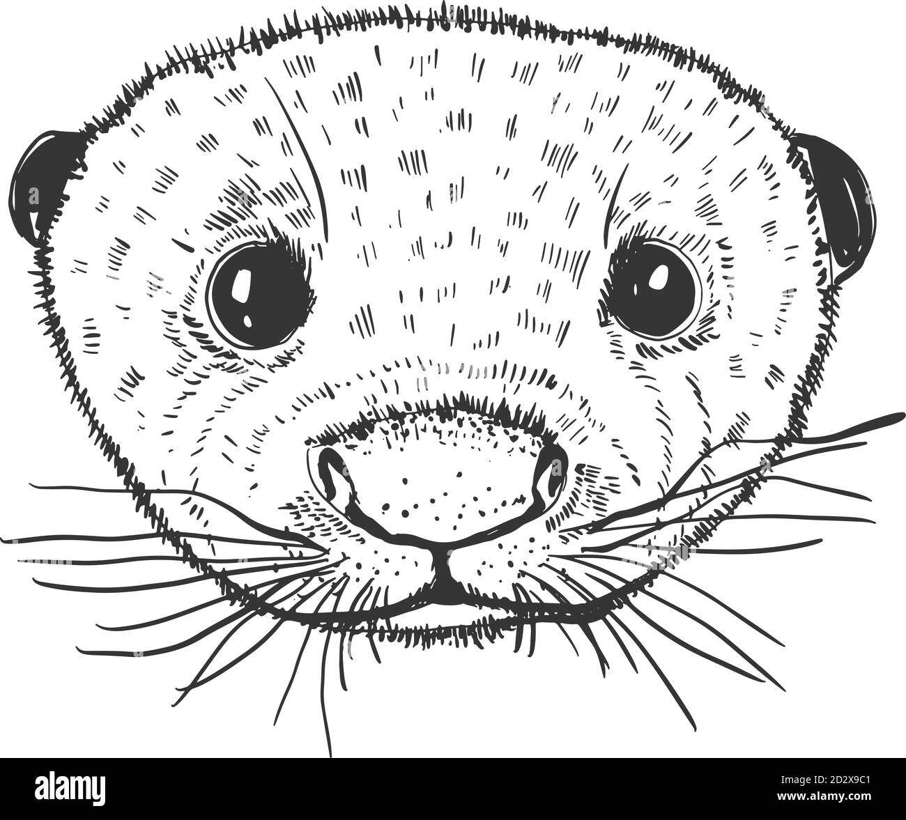 Skizzengrafik Tierkopf Otter. Cute monochrome Farbe, isoliert in weißem Hintergrund. Stock Vektor